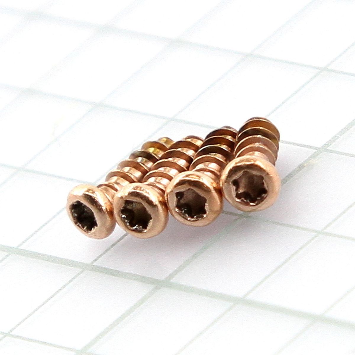 Screw KIT for Garmin Fenix 5s Plus Rose gold New