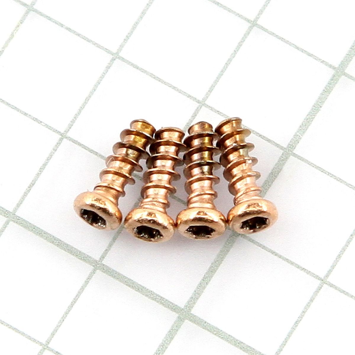 Screw KIT for Garmin Fenix 5s Plus Rose gold New