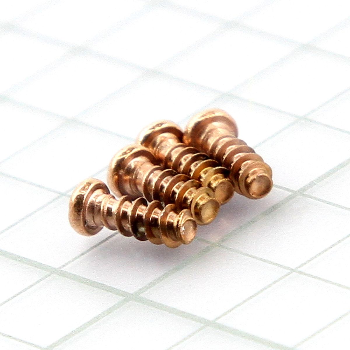 Screw KIT for Garmin Fenix 5s Plus Rose gold New