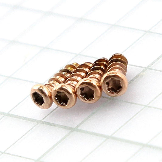 Screw KIT for Garmin Fenix 5s Plus Rose gold New