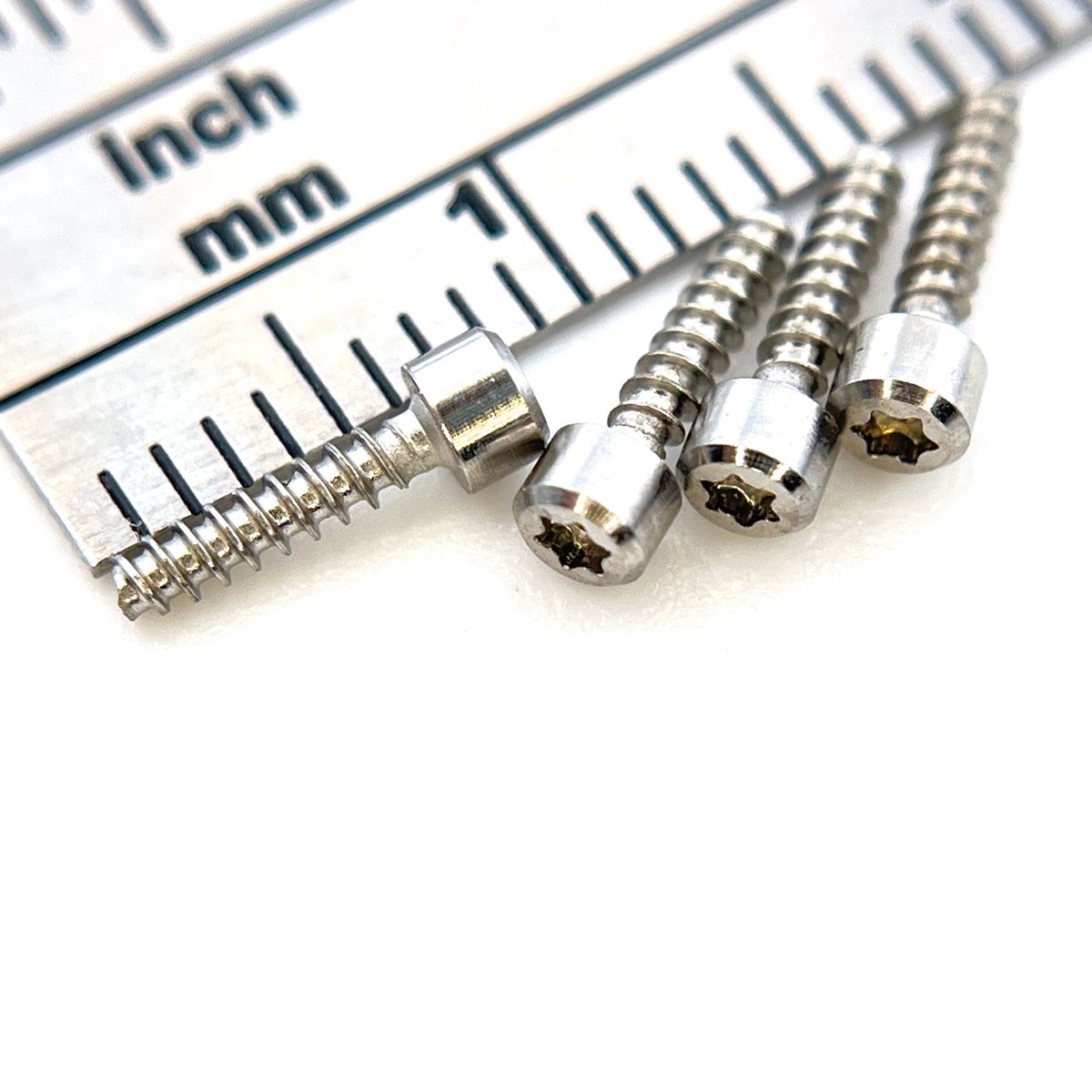 Screw KIT bezel for Garmin Fenix 8 (51 mm)(4 pcs silver) New